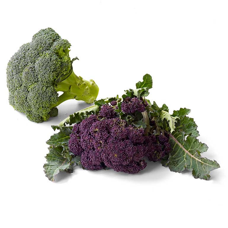 Nu in ‘t seizoen: broccoli