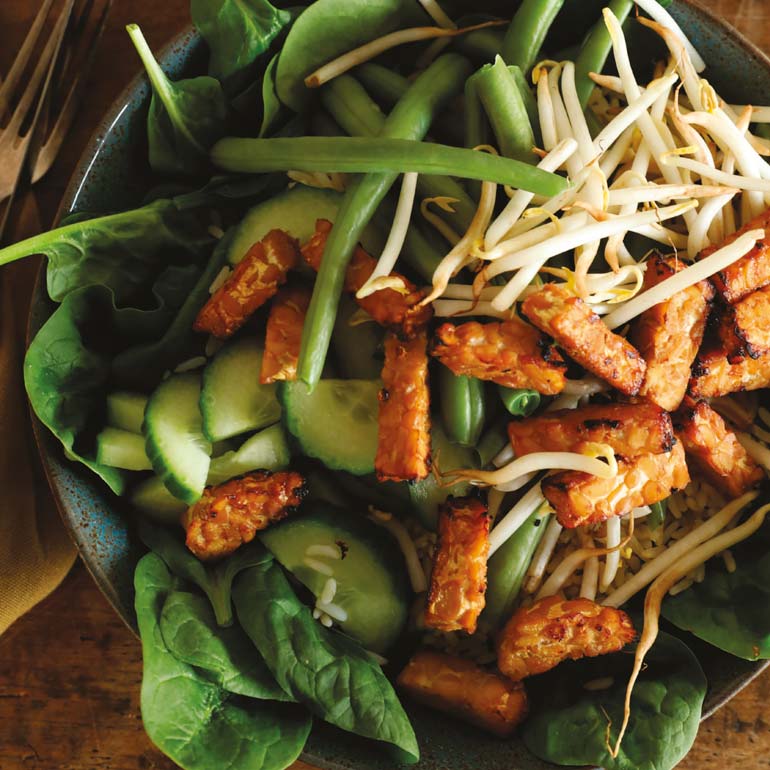 Gado Gado met gemarineerde tempé