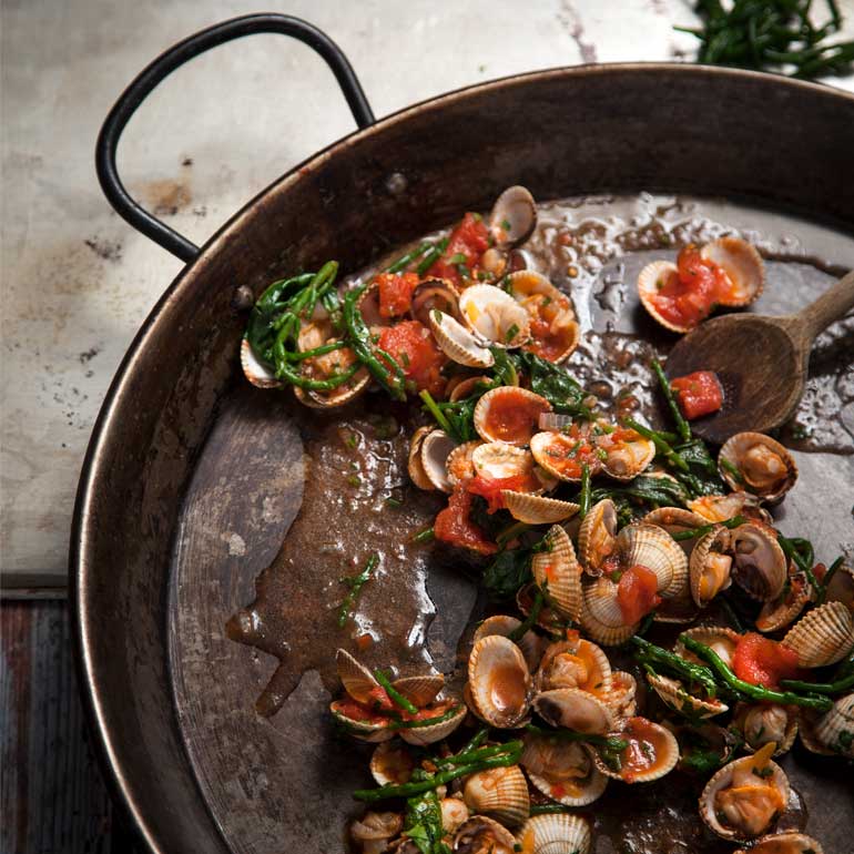 Kokkels met pasta & zeekraal