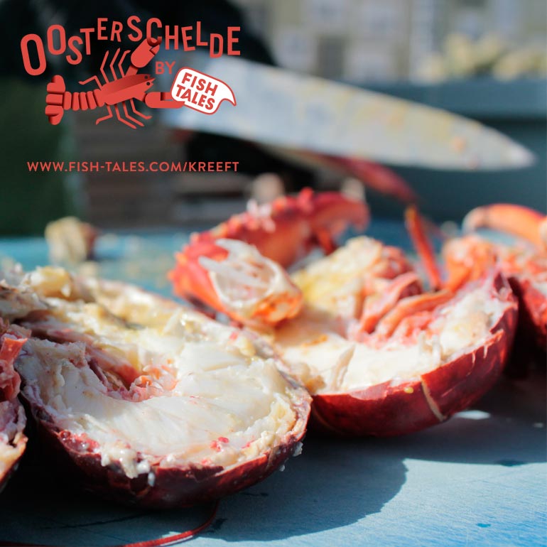 Steun de Zeeuwse kreeftvissers