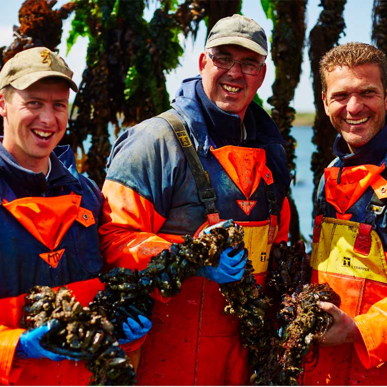 Yes, het zeeuwse mosselseizoen is gestart!