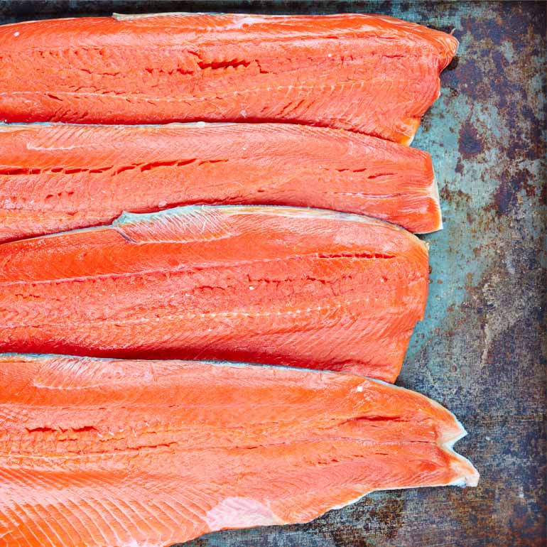 De reis van de wilde zalm