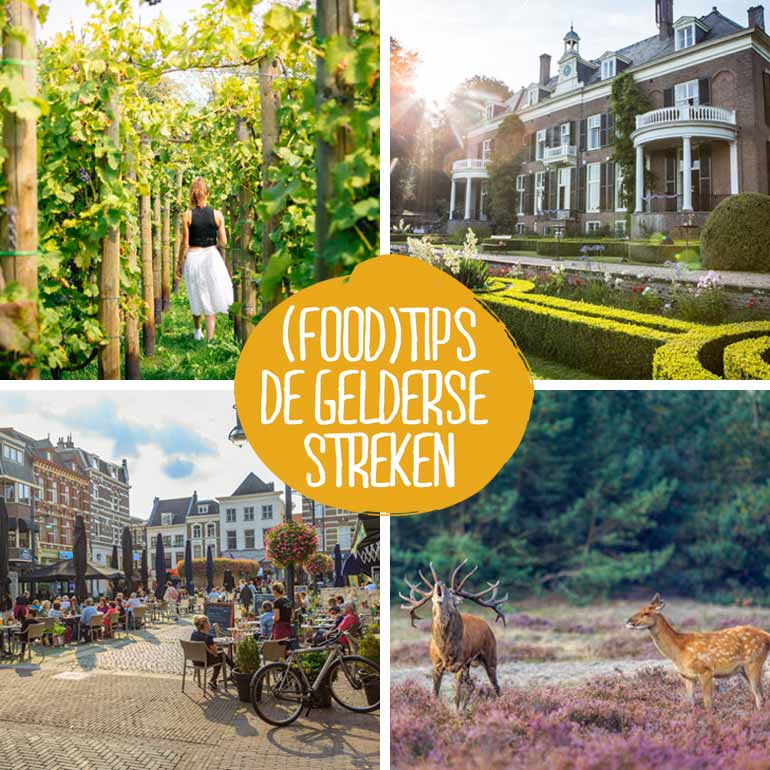 Genieten in Gelderland: van wild tot wijn