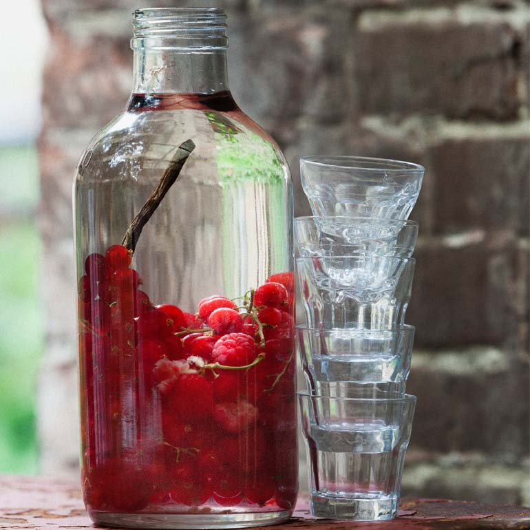 Wodka met rood fruit