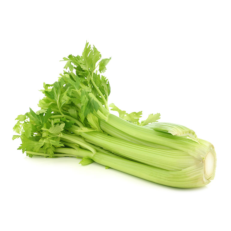 Nu in ‘t seizoen: bleekselderij