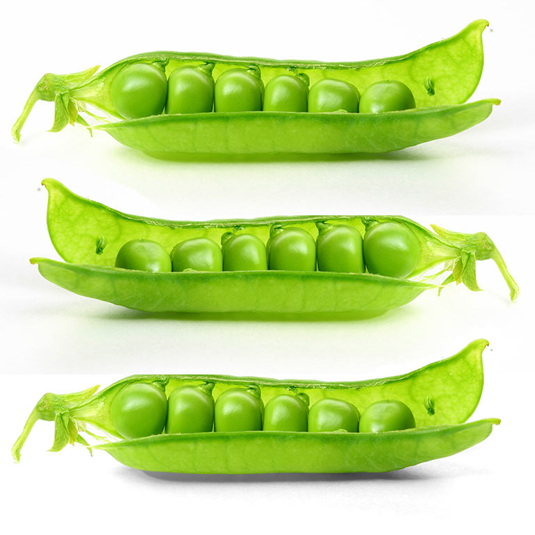 Nu in ‘t seizoen: doperwten