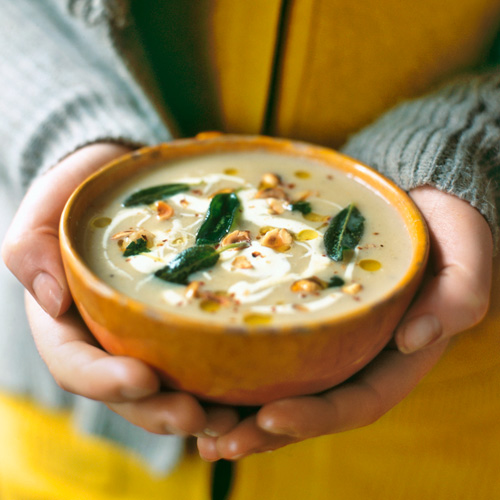 [Dummy] Food and Friends Artikel