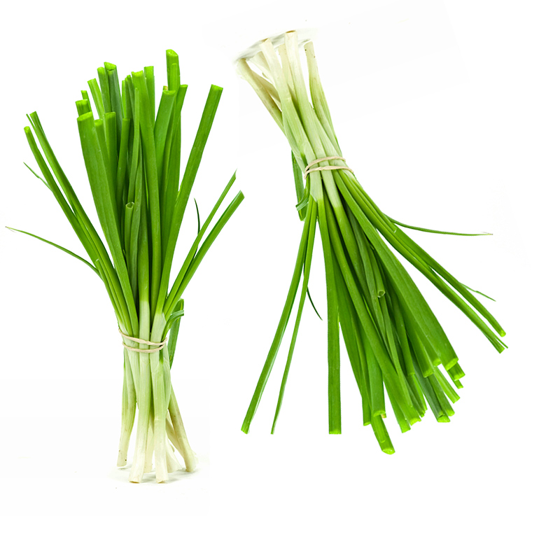 Nu in ‘t seizoen: lente-ui