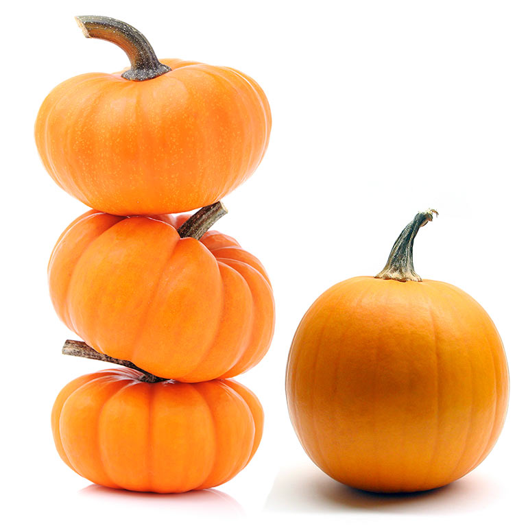 Nu in ‘t seizoen: pompoen & flespompoen