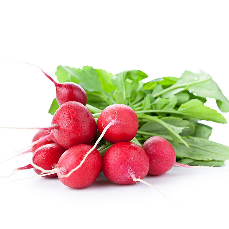 Nu in ‘t seizoen: radijs